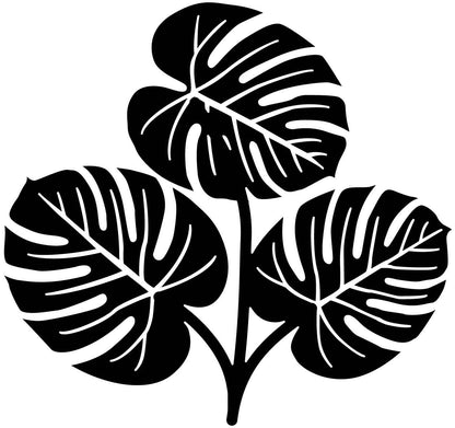 Monstera Leaf