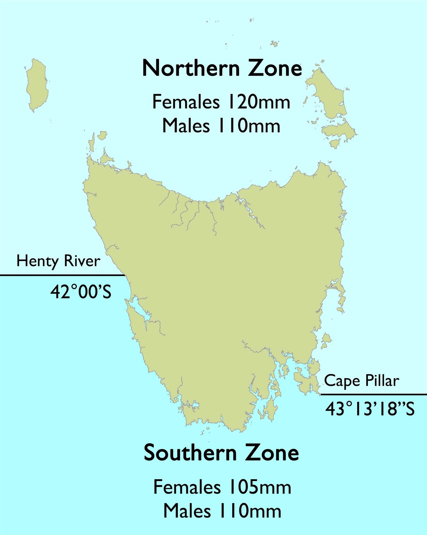 Crayfish Measurer - South Zone